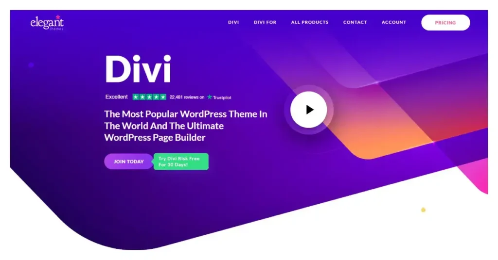 Divi Builder