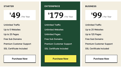 Highlighted Center Pricing Plan Table
