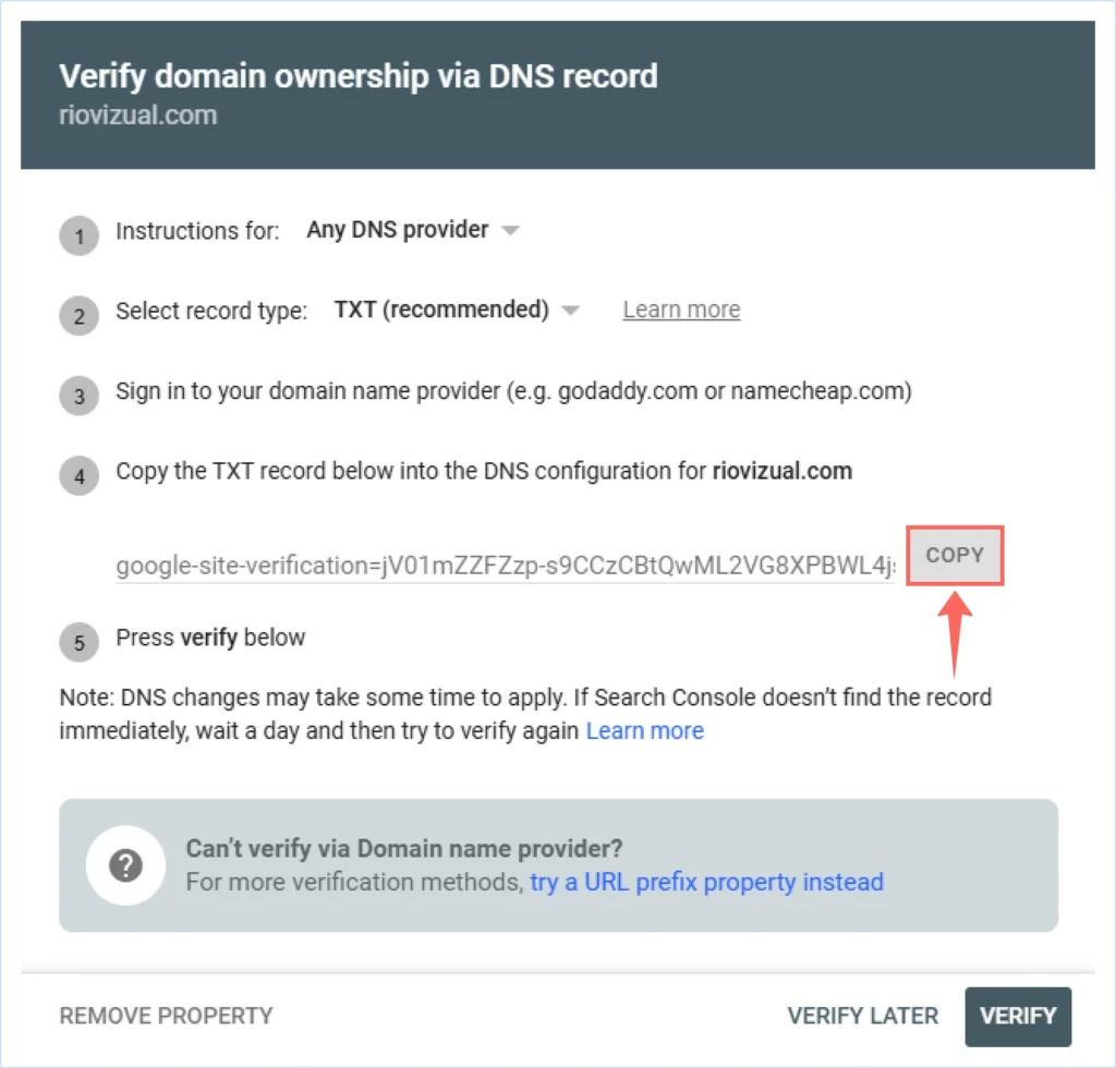 Copy the txt record for domain ownership verification