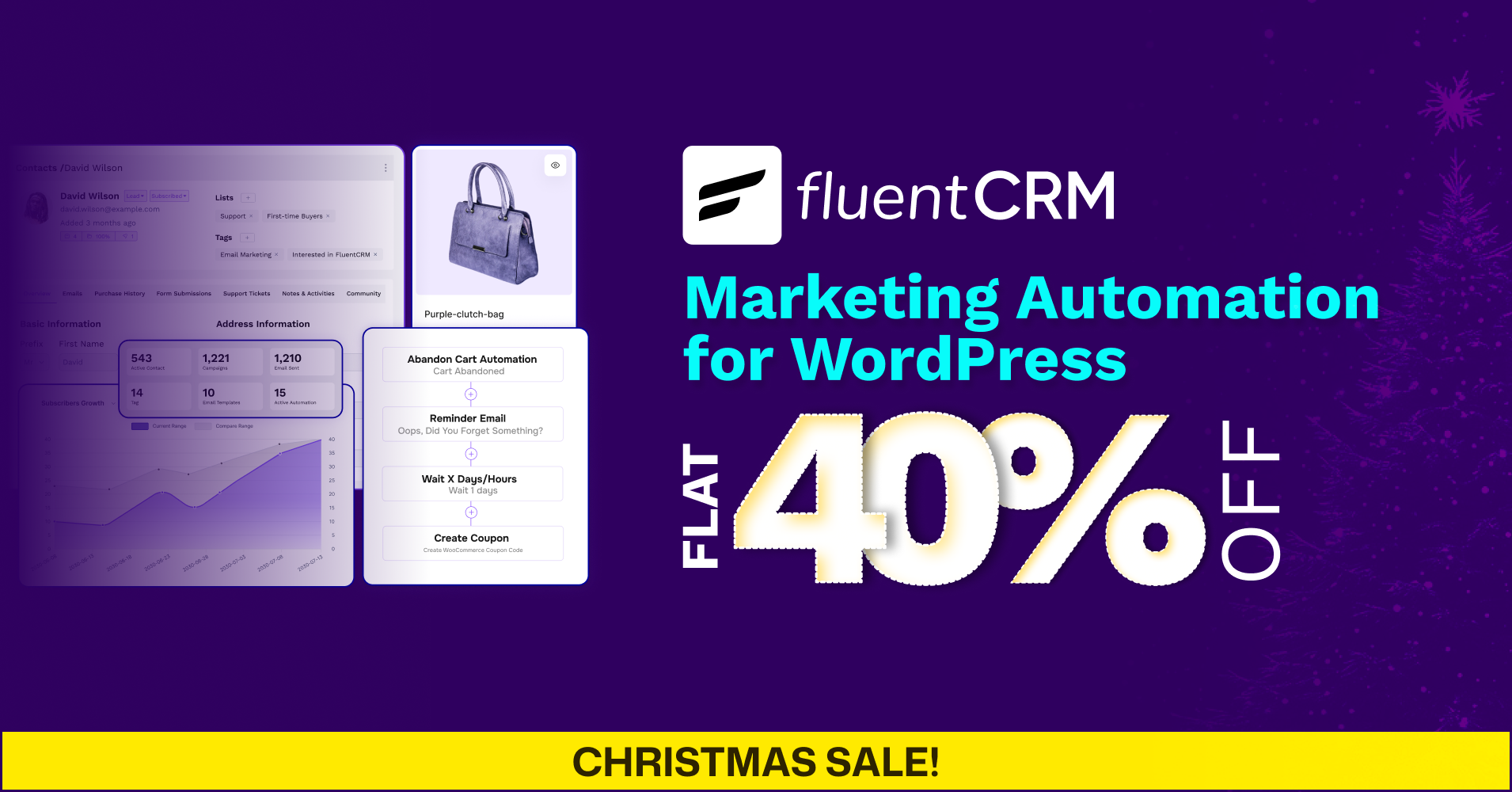 FluentCRM Holiday Deals Details  2025-2026
