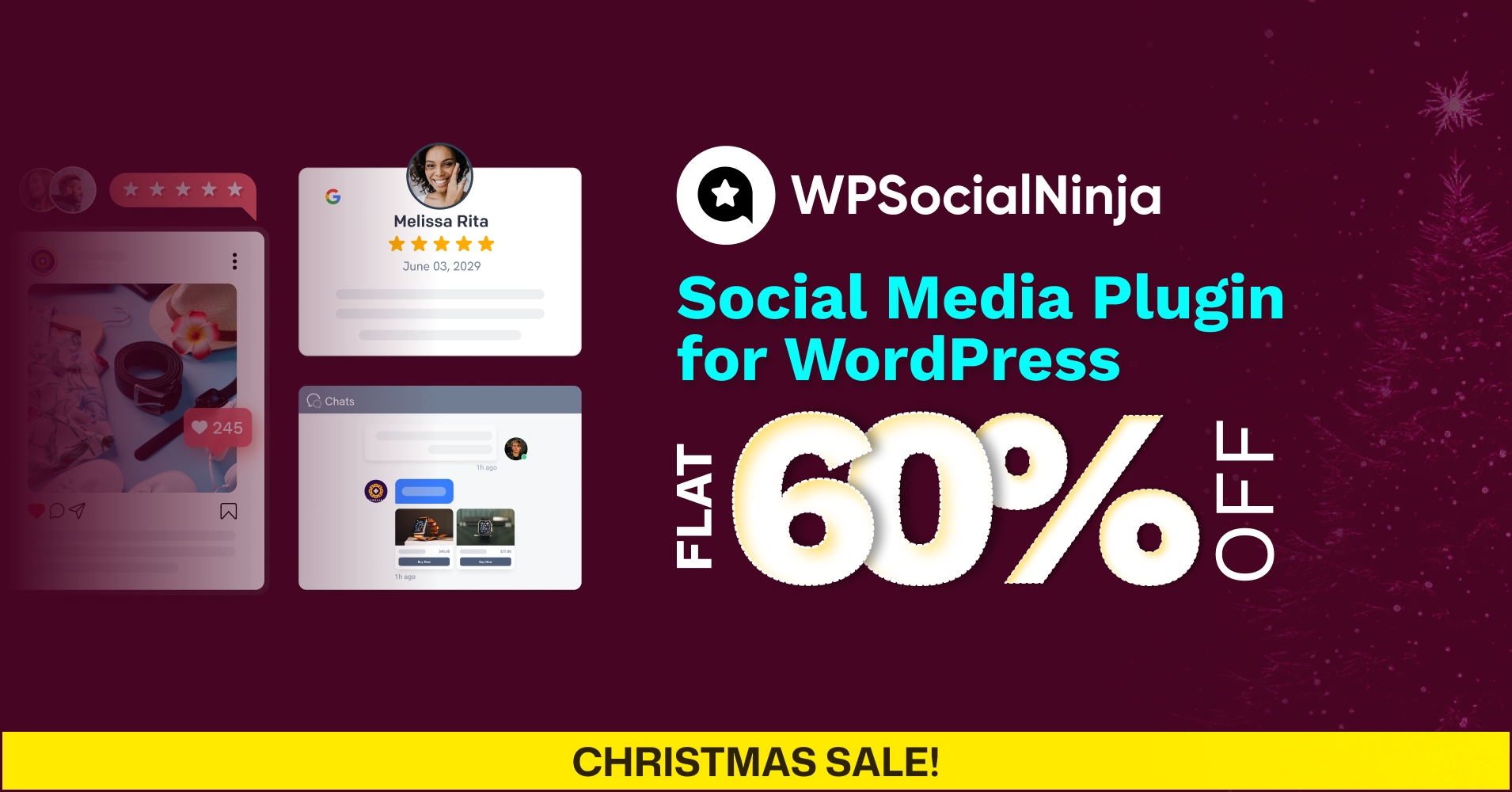 WP Social Ninja Holiday Deals Details 2025-2026